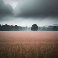 rainy day - Xcentov