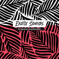 Science Zone - Exam Study Music of Academy New Age International