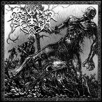 Blood of the Antichrist - Cryptic Scream