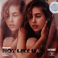 Not Like U - DeepX