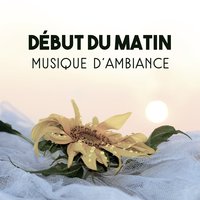 Chute d'eau magique (Corps pur) - Collection de Nature Sons de Méditation