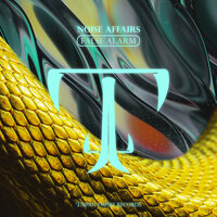 False Alarm - Noise Affairs