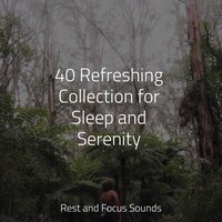Perfect Harmony - Rising Higher Meditation & Zen Meditate & Sound Sleeping
