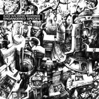 Unfamiliar - Black Sun Empire