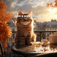 mild music - Seraphic Sounds