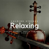 Mellifluous - Violin Music & Violins & Calming Strings