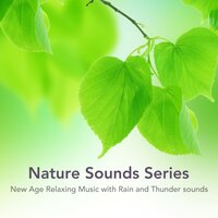 All in Harmony (Deep Sleep Music) - Relax Meditate Sleep