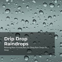 Crystalline Raindrops - Relaxing Rain Sounds & Rain Drops for Sleep & Rain for Sleep