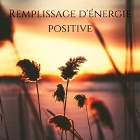 Hz Cleanse Infections - Calming Music Ensemble
