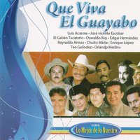 Las Ramas del Guayabo - Teo Galíndez