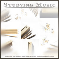 Soft Piano Study Music and Nature Sounds - Studying Music & Study Music Collective & Studying Music Bliss