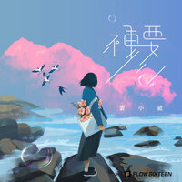 不重要 - 袁小葳