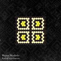 Afrogressive - Wayne Madiedo