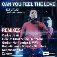 Can You Feel the Love - DJ Valdi & Peter Pou & Zakaray