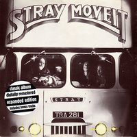 Customs Man - Stray