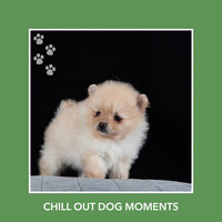Deep Day Dream - Dog Chill Out Music