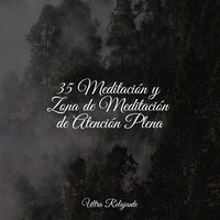 Marca De Agua - Lluvia & Música para Relaxar Maestro & Dormir Sol