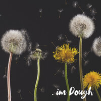 Pastel Dusk - im Dough