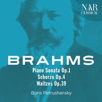 Waltzes, Op. 39: No. 8 in B-Flat Major - Boris Petrushansky & Иоганнес Брамс