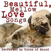 Go Gentle - Union of Sound