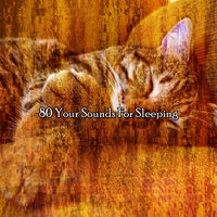 Мирное детское убежище - Deep Sleep FX