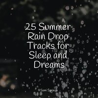 Gentle Ocean Waves - Natureza Musica Bem-Estar Academia & Meditation Awareness & Rain Sounds Nature Collection