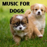 Zero Bark Thirty - Music for Dogs & Music for Dogs Peace & Relaxing Puppy Music & Calm Pets Music Academy