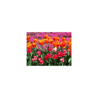 Letter and Rest - Mindfulness Healing BGM Project