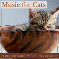 Lullabies for Kitties - RelaxMyCat & Kitten Music Therapy & Cat Music Dreams
