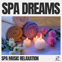 Meditative Mist - Spa Music Relaxation Meditation