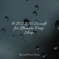 Empty Thoughts - Zen Meditate & Calm shores & White Noise Relaxation