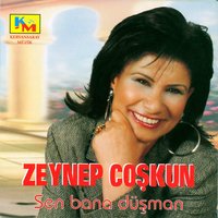 Canımı Aldı - Zeynep Coşkun