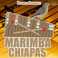 El Encimoso - Marimba Chiapas & Marimba De Chiapas