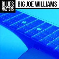 Baby Please Don't Go - Big Joe Williams