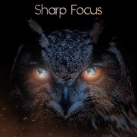 Soothing Stress Relief - Work Music & Concentration Music for Work & Calm Music For Studying