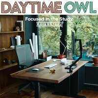 Office Hours - Daytime Owl