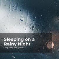 Raining While Snoozing - Rain Sounds Collection & Deep Sleep Rain Sounds & Rain Meditations