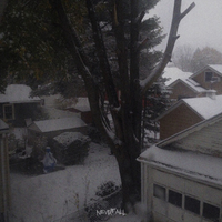 i don't wanna be alone - Nevrfall