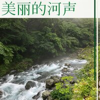 鸟的声音 - 平静音乐
