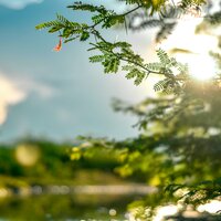 Meditation Music (Afternoon Sunlight) - Lico