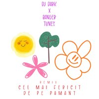 Cel mai fericit de pe pământ - DJ Dark & Banger Tunes