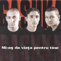 Hai danseaza - Gashka & FLORIN FERMECATORUL & Cornel