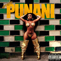 Punani - Starr