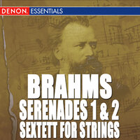 Serenade No. 1 in D Major, Op. 11: V. Scherzo: Allegro - Alfred Scholz & Bamberg Chamber Orchestra & Иоганнес Брамс