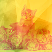 Retro Cute Cat - Cat Total Relax
