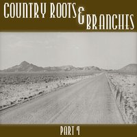 Orange Blossom Special - Bill Monroe