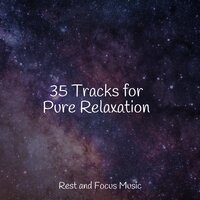 Just Melt Away - Deep Sleep Relaxation & Academia de Meditação Buddha & Classical New Age Piano Music