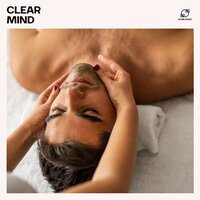 Spa Sleep Music - Spa Music Relaxation Meditation & Spa Relaxation & Amazing Spa Music & Calm Oasis
