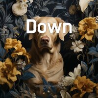 Track99 - Comfortable Morning