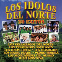 Por el Amor a Mi Madre - Los Relampagos del Norte